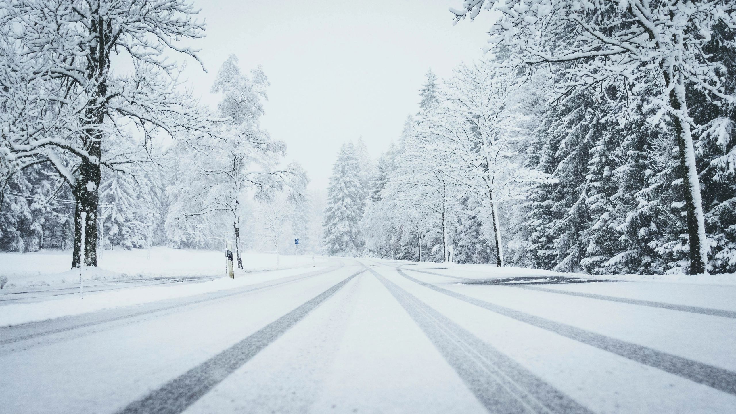 Snow-covered road through pine forest with vehicle tracks