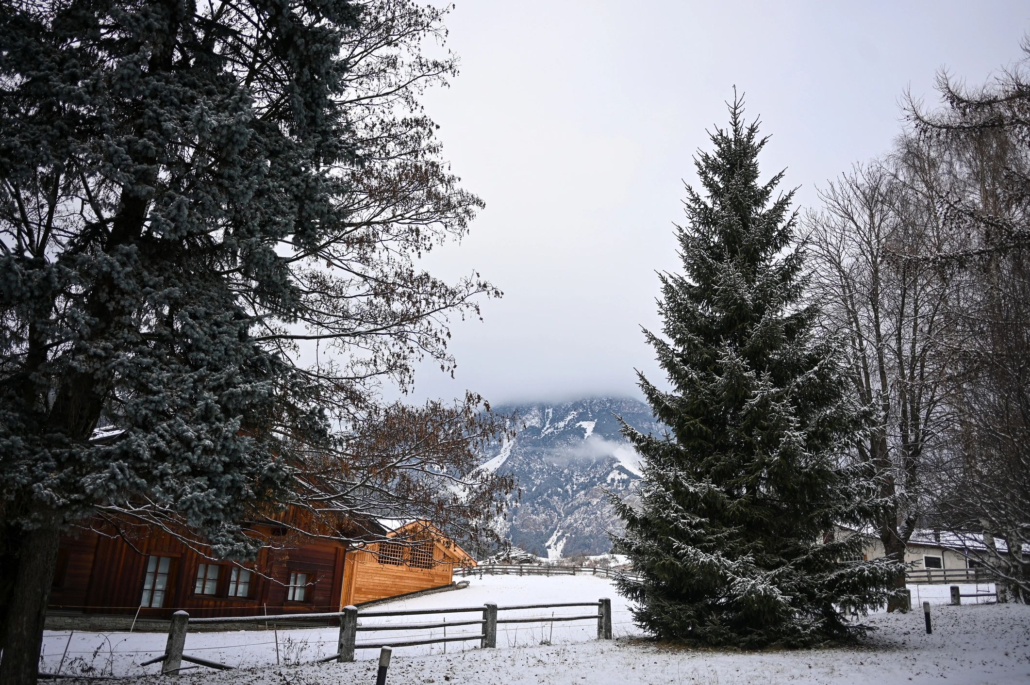Snow-covered trees and mountain homes